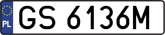 GS6136M