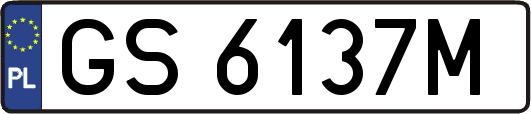 GS6137M