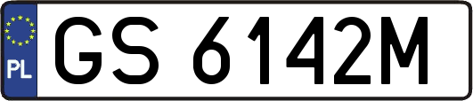 GS6142M