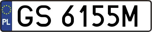 GS6155M
