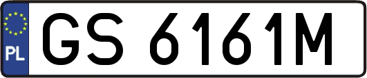 GS6161M