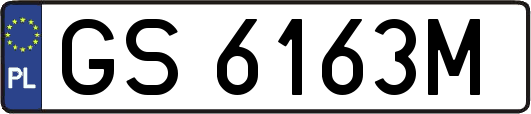 GS6163M
