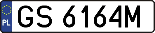 GS6164M