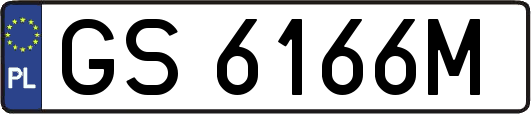 GS6166M