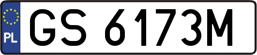 GS6173M