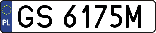 GS6175M
