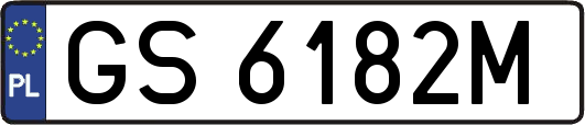 GS6182M