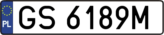 GS6189M
