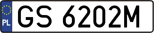 GS6202M