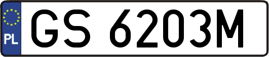 GS6203M