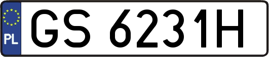 GS6231H