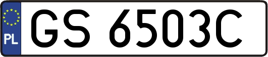 GS6503C