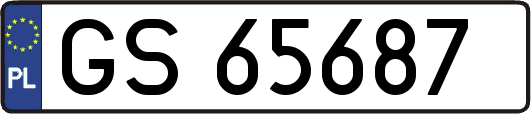 GS65687