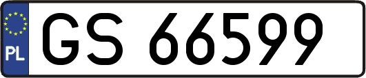 GS66599