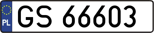 GS66603