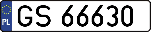 GS66630