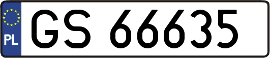 GS66635