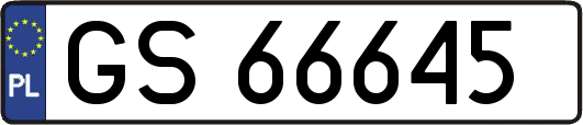 GS66645
