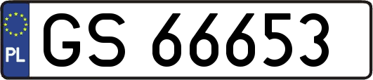 GS66653