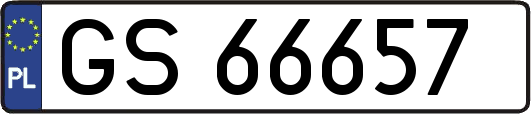 GS66657