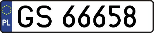 GS66658
