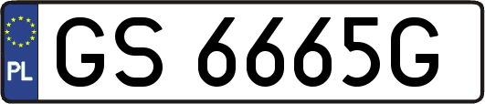 GS6665G