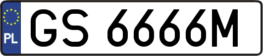 GS6666M