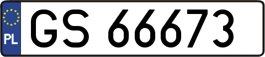 GS66673