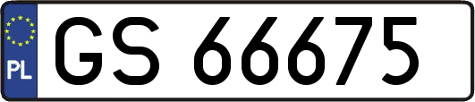 GS66675
