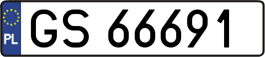 GS66691