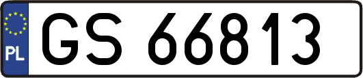 GS66813