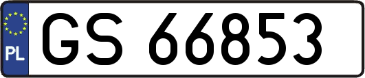 GS66853
