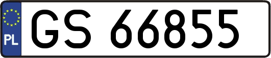 GS66855