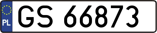 GS66873
