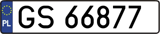 GS66877