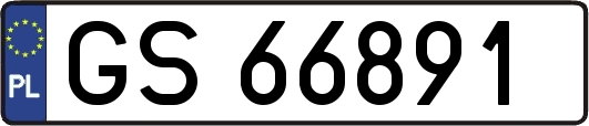 GS66891