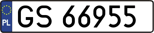 GS66955