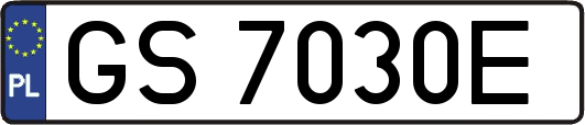 GS7030E