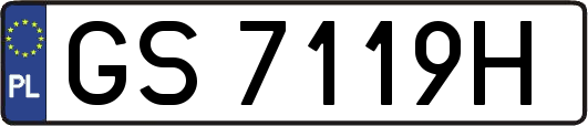 GS7119H