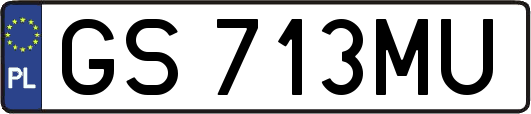 GS713MU