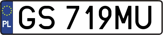GS719MU