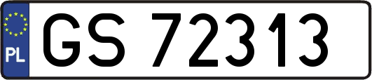 GS72313