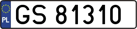GS81310