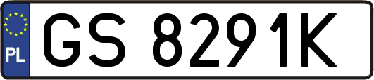 GS8291K