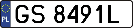 GS8491L