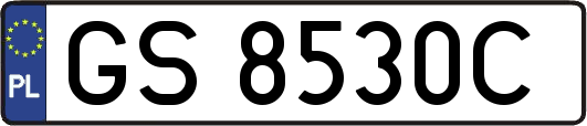 GS8530C