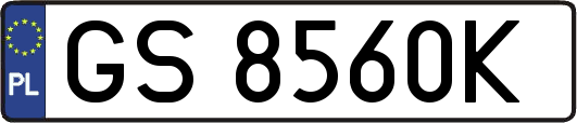 GS8560K