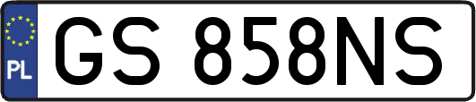 GS858NS