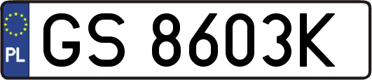 GS8603K