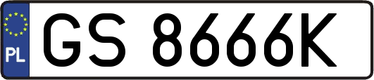 GS8666K
